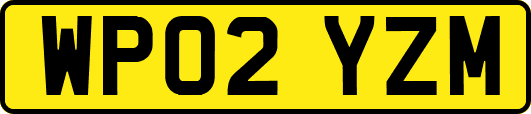 WP02YZM