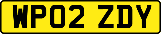 WP02ZDY