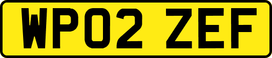 WP02ZEF