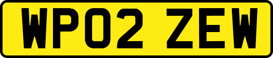 WP02ZEW