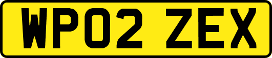 WP02ZEX