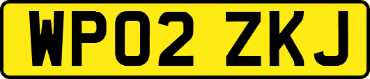 WP02ZKJ
