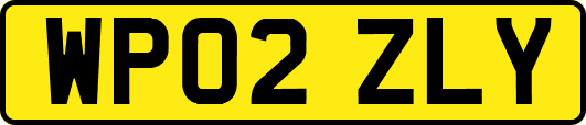 WP02ZLY