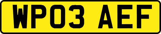WP03AEF