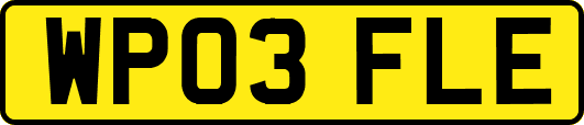 WP03FLE