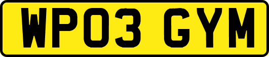WP03GYM