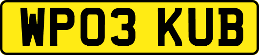 WP03KUB
