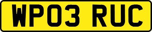 WP03RUC