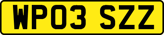 WP03SZZ