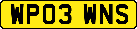 WP03WNS