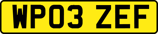 WP03ZEF