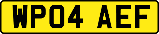 WP04AEF