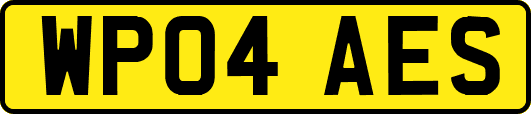 WP04AES
