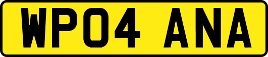WP04ANA