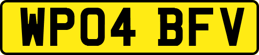WP04BFV