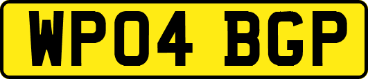 WP04BGP