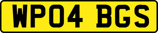 WP04BGS