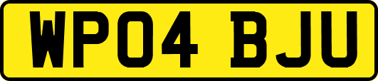 WP04BJU