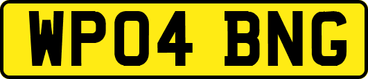 WP04BNG