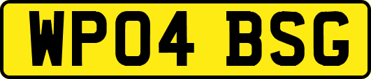 WP04BSG