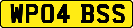 WP04BSS