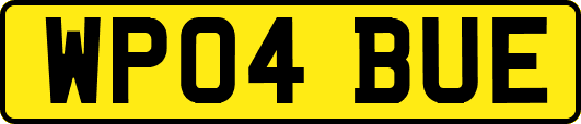 WP04BUE