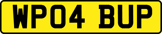 WP04BUP