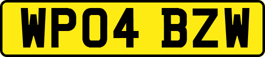 WP04BZW