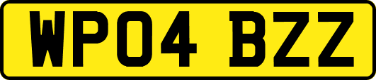 WP04BZZ
