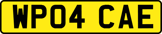 WP04CAE