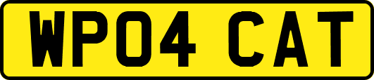 WP04CAT