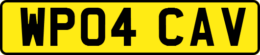 WP04CAV