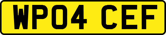 WP04CEF