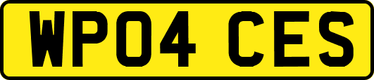 WP04CES