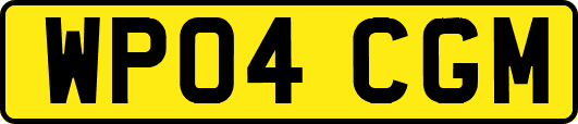 WP04CGM