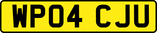 WP04CJU