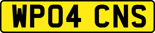 WP04CNS