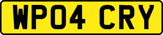WP04CRY