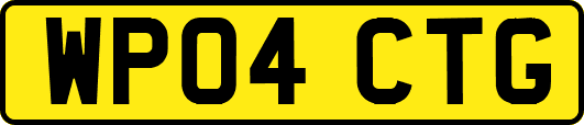 WP04CTG