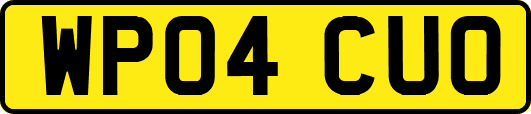 WP04CUO