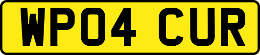 WP04CUR
