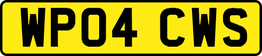 WP04CWS