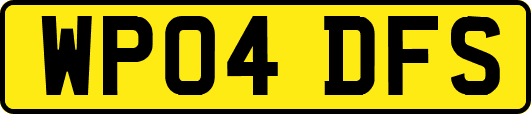 WP04DFS