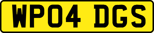 WP04DGS