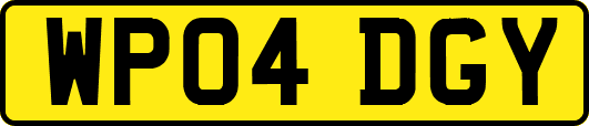 WP04DGY