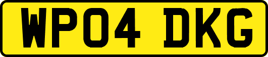 WP04DKG