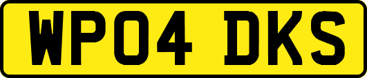 WP04DKS
