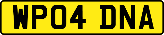 WP04DNA