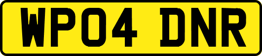 WP04DNR