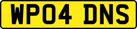 WP04DNS
